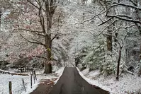 Cades Cove in the Snow