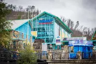ripleys aquarium of the smokies in gatlinburg