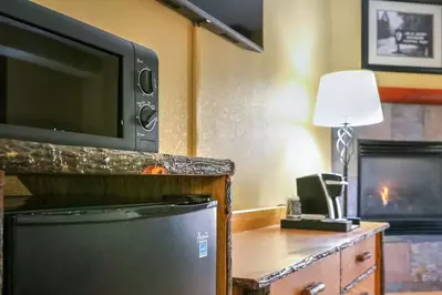 microwave and fridge in Bearskin room