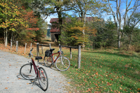 bicycles along the Cades Cove Loop Road