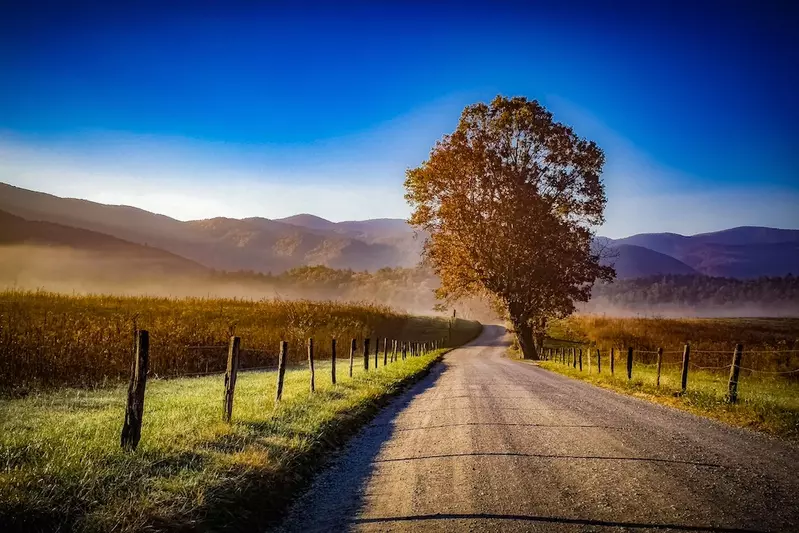 Fall in Cades Cove