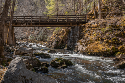 Middle Prong Trail