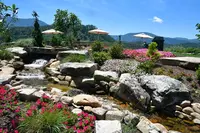 Anakeesta Vista Gardens water feature and flowers