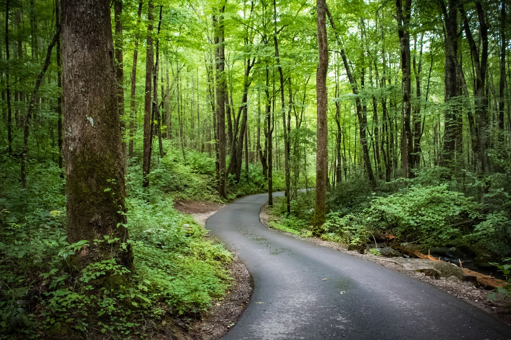 Roaring Fork Motor Nature Trail